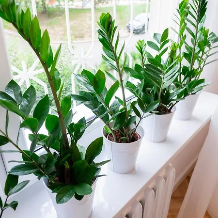 Cristine Lejlighed Warszawa