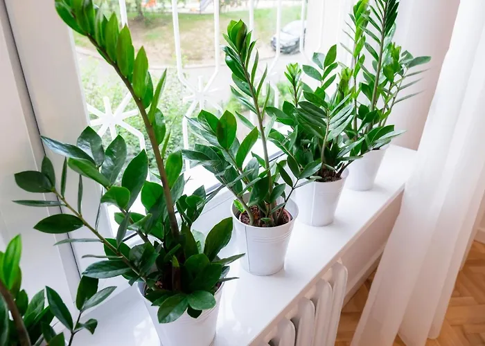 Cristine Apartment Warsaw